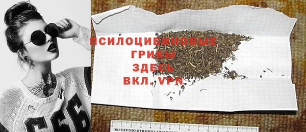 a pvp Рославль
