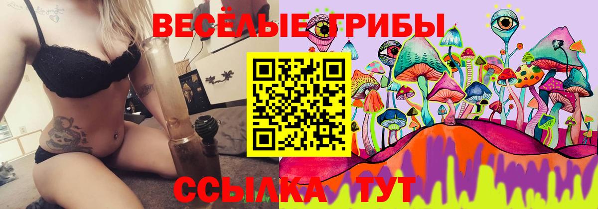 Псилоцибиновые грибы прущие грибы  Вход с VPN  Костомукша 