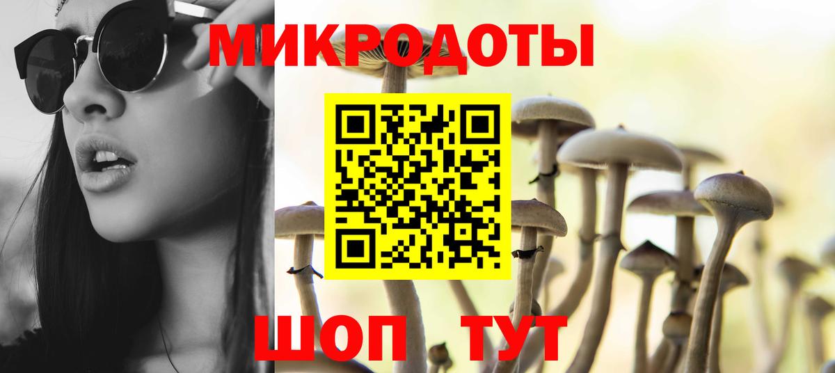 Псилоцибиновые грибы мицелий Костомукша